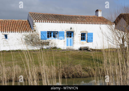 Traditionelle Häuser in der Nähe von Salzwiesen. Vendee, Frankreich, März 2010. Stockfoto