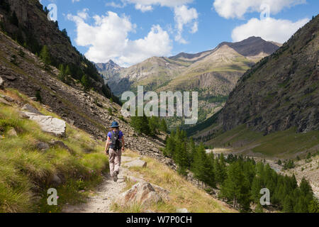 Wanderer in Vallone di Valelle, Nationalpark Gran Paradiso, Aostatal, Walliser Alpen, Italien. Juli 2012 Stockfoto