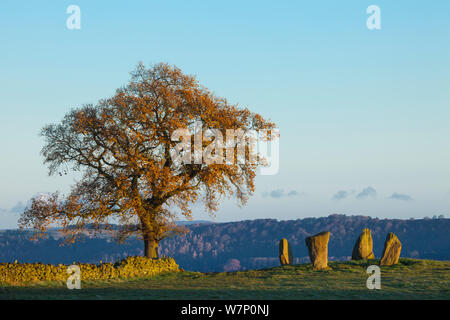 Neun Stein nahe Stein Kreis, Peak District National Park, Derbyshire, UK. November. Stockfoto