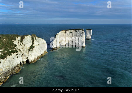 Die erodierten Kreide meer Stapel Old Harry Rocks an Handfast Punkt auf der Isle of Purbeck entlang der Weltnaturerbe Jurassic Coast in Dorset, Großbritannien, November 2012 Stockfoto