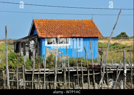 Bunte Hütte am Oyster Farm La Baudissiere in der Nähe von Dolus, auf der Insel Ile d'Oleron, Charente-Maritime, Frankreich, September 2012. Stockfoto