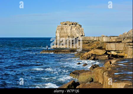 Preikestolen, künstliche Stapel rock durch Gewinnung von Steinen und Erden Aktivität links, am Meer an der Portland Bill auf der Isle of Portland entlang der World Heritage Jurassic Coast, Dorset, Großbritannien,November 2012 Stockfoto