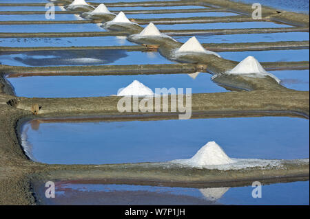 Salz Pan für die Produktion von Fleur de Sel/Meersalz auf der Insel Ile de Re, Charente-Maritime, Frankreich, September 2012. Stockfoto
