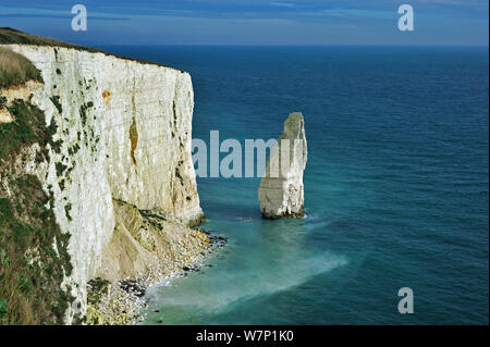 Die erodierten Kreide Meer stack die Pinnacles in der Nähe von Old Harry Rocks an Handfast Punkt auf der Isle of Purbeck entlang der Jurassic Coast in Dorset, Großbritannien, November 2012 Stockfoto