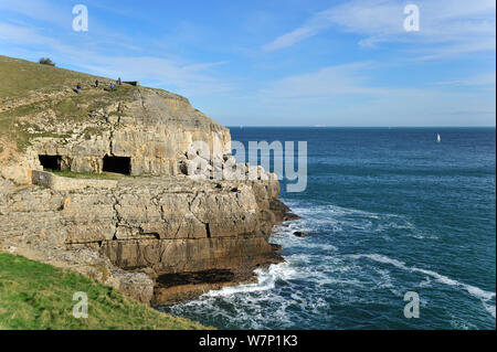 Tilly Laune Steinbruch und Höhlen am Amboss, Durlston Kopf auf der Isle of Purbeck entlang der Jurassic Coast in Dorset, Großbritannien, November 2012 Stockfoto