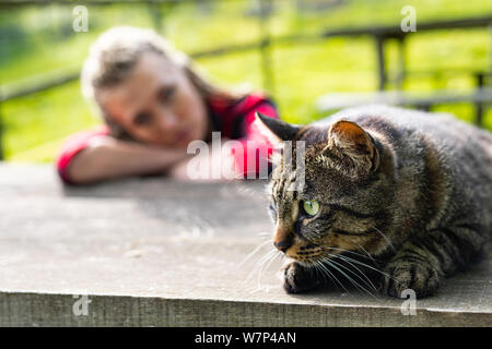 Fokussierte tabby Katze zur Seite anstarren, wie er auf einen hölzernen Tisch im Garten durch eine junge Frau beobachtet liegt in der Hintergrund verschwommen Stockfoto