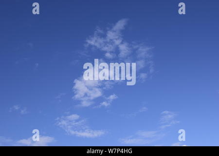 Fantastisch weiche, weiße Wolken vor blauem Himmel. Blauer Himmel mit Wolken. Clearing Tag und gutes Wetter am Morgen. Stockfoto