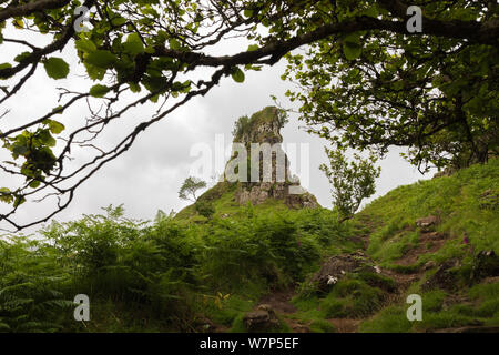 Fairy Glen, Isle of Sky, Großbritannien Stockfoto