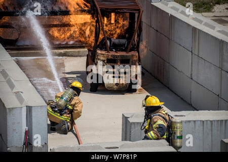 Mitglieder der 121 Luftbetankung Flügel Feuerwehr Zug mit einer live fire Übung während der Wachsam Guard 19-4, in Reynoldsburg, Ohio, Aug 5, 2019, an der Ohio Brand Academy in Reynoldsburg, Ohio. Wachsam Guard bringt über 3.000 Mitarbeiter aus über 90 lokalen, staatlichen und föderalen Agenturen zu trainieren und Disaster Response Fähigkeiten in die größte Übung dieser Art in der Geschichte des Landes zu entwickeln. (U.S. Air National Guard Foto von Tech. Sgt. Joe Harwood) Stockfoto