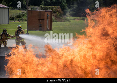 Mitglieder der 121 Luftbetankung Flügel Feuerwehr Zug mit einer live fire Übung während der Wachsam Guard 19-4, in Reynoldsburg, Ohio, Aug 5, 2019, an der Ohio Brand Academy in Reynoldsburg, Ohio. Wachsam Guard bringt über 3.000 Mitarbeiter aus über 90 lokalen, staatlichen und föderalen Agenturen zu trainieren und Disaster Response Fähigkeiten in die größte Übung dieser Art in der Geschichte des Landes zu entwickeln. (U.S. Air National Guard Foto von Tech. Sgt. Joe Harwood) Stockfoto