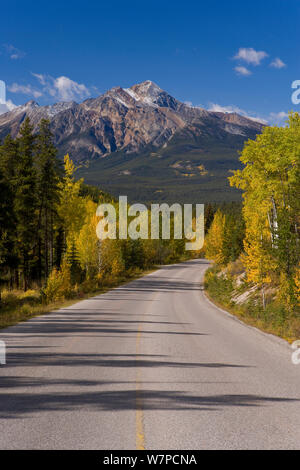 Herbst Farben säumen den Weg von Jasper zum Maligne Lake, Jasper National Park, British Columbia, Kanada, 2007 Stockfoto