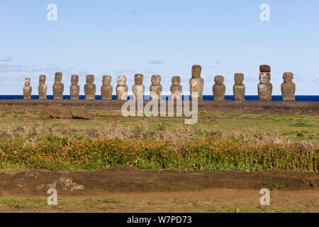 Ahu Tongariki, der größten Ahu Tongariki auf der Insel, ist eine Reihe von 15 riesigen Stein Moai Statuen, Isla de Pascua/Easter Island, Chile 2008 Stockfoto