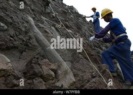 Chinesische Arbeiter auszugraben Dinosaurier Fossilien in einer Wand 150 Meter lang, 2 Meter tief und 8 Meter hoch, an der Ausgrabungsstätte in Laojun vi konzentriert Stockfoto