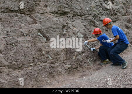 Chinesische Arbeiter auszugraben Dinosaurier Fossilien in einer Wand 150 Meter lang, 2 Meter tief und 8 Meter hoch, an der Ausgrabungsstätte in Laojun vi konzentriert Stockfoto