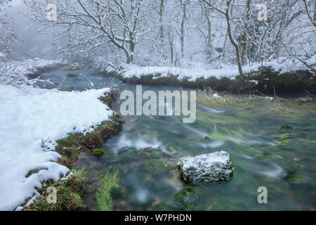 Der Fluss Lathkill. Lathkill Dale National Nature Reserve (SSSI), Peak District National Park, Großbritannien. Juni. Jahreszeiten Sequenz 2 von 2: Winter. Stockfoto