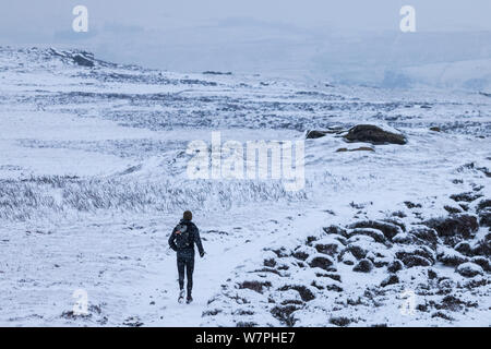 Fiel Runner im Winter. Derwent Kante, Nationalpark Peak District, Derbyshire, UK. Januar. Stockfoto