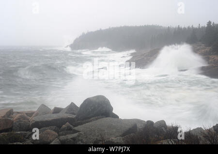 Acadia National Park, Maine. Den Atlantischen Ozean. Hurrikan Sandy, Oktober. Stockfoto