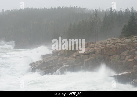 Sturmflut Wellen an der Küste Felsen brechen, mit der Person durch die Gischt gesehen. Acadia National Park, Maine. Der Atlantik Hurrikan Sandy, Oktober 2012. Stockfoto