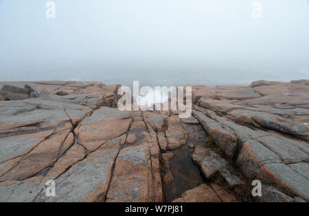 Küste von Acadia National Park, Maine während Hurrikan Sandy. Oktober, 2012. Stockfoto