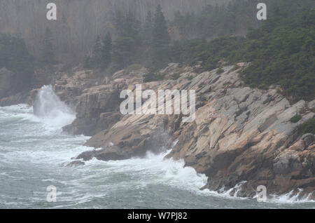 Acadia National Park, Maine. Den Atlantischen Ozean. Post-Hurricane Sandy, Oktober. Stockfoto