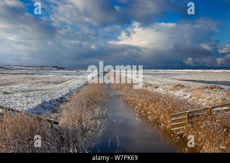 Entwässerung Deich und die Sümpfe im Schnee, Salthouse Sümpfe, Norfolk, Januar 2013 Stockfoto