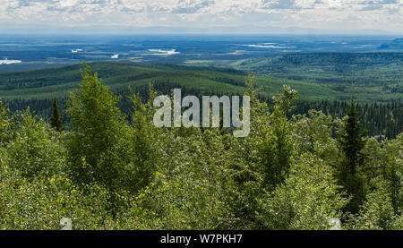 Panorama der Wald der Chena River Recreation Area von Chena Hot Springs in Richtung Fairbanks suchen Stockfoto