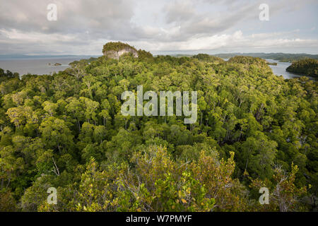 Clifftop Blick von Pulau Pef, Raja Ampat in der Nähe von Waigeo, Indonesien, Februar 2012 Stockfoto