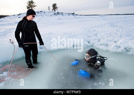 Person, Seil, die Kontakt mit dem Taucher im Maina (gesägte Öffnung) mit Diver, Arctic Circle Dive Center, Weißes Meer, Karelien, Nordrussland, März 2010 und Taucher in, geschmolzene Eis bereit, Tauchen unter dem Eis zu gehen, Arctic Circle Dive Center, Weißes Meer, Karelien, Russland, April 2010. Digitial Composite. Stockfoto