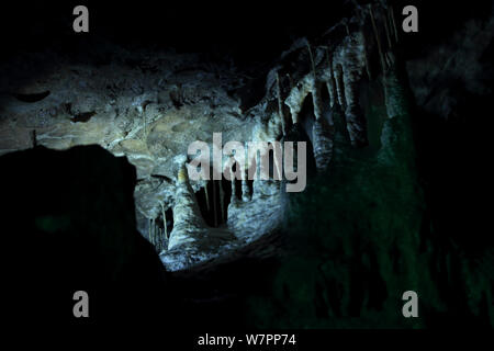 Poole's Cavern. Buxton Peak District, Derbyshire, UK, Dezember. Stockfoto