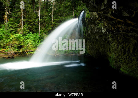 Bügeleisen Creek Falls in der Gifford Pinchot National Forest. Washington, USA, August 2011. Stockfoto