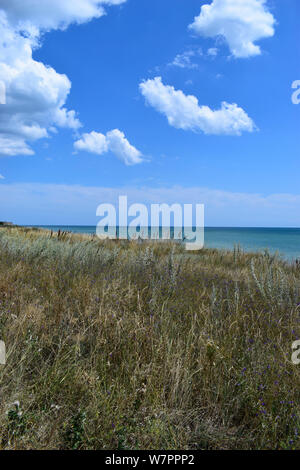 Die steilen Ufer des Meeres in der Steppe. Gras Landschaft in der Nähe der Marine in der Nähe Meer. Schöne Landschaft. Reisen Hintergrund. Stockfoto