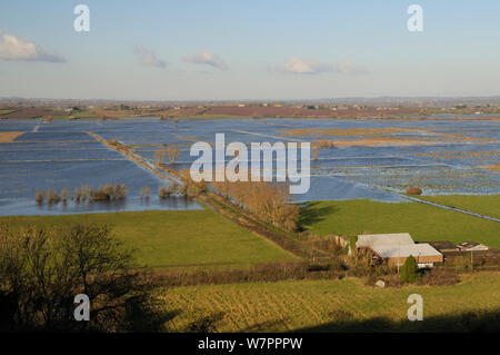 Landwirtschaftliche Gebäude in der Nähe der stark überschwemmten Weideland und Wirtschaftswege auf West Sedgemoor, nach Wochen des schweren Regens, Somerset, UK, Dezember 2012. Stockfoto