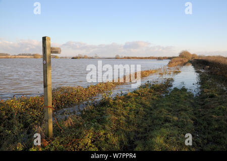 Überflutet Reitweg auf West Moor in der Nähe von Hambridge auf der Somerset Levels nach Wochen der Heavy Rain, UK, Dezember 2012. Stockfoto