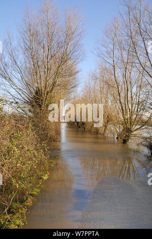 Überflutete Straße in Muchelney Dorf auf der Somerset Levels, weg in alle Richtungen schneiden nach Wochen des schweren Regens, in der Nähe von Langport, UK, Dezember 2012. Stockfoto