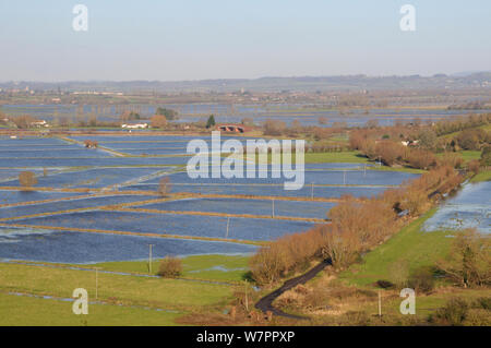 Weitgehend überschwemmten Weideland und Wirtschaftswege auf West Sedgemoor und aller Moor, nach Wochen des schweren Regens, Somerset, UK, Dezember 2012. Stockfoto