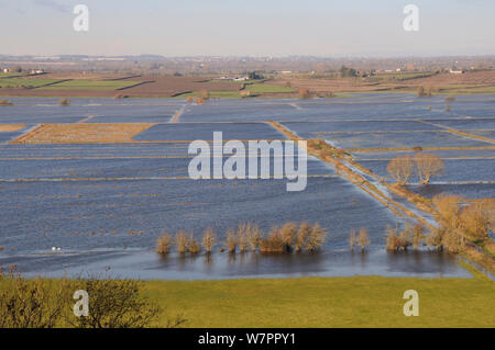 Weitgehend überschwemmten Weideland und Feldweg auf West Sedgemoor, Somerset Levels, nach Wochen des schweren Regens, UK, Dezember 2012. Stockfoto