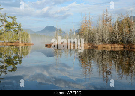 Grünen Teich im Nebel, mit Doubletop Berg im Hintergrund, Baxter State Park, Maine. Oktober 2012. Stockfoto