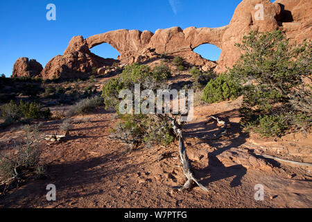 Rock arch Formationen' Nord und Süd Fenster'. Arches National Park, Utah, Oktober 2012. Stockfoto