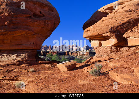 "Formationen", wie die Nadeln aus der Sicht entlang der Zufahrtsstraße zum Elephant Hill gesehen. Canyonlands National Park, Utah, Oktober 2012. Stockfoto