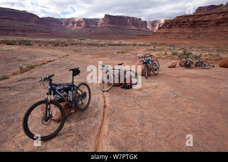 Mountainbikes in der Nähe von Musselman Bogen entlang der White Rim Trail in der Islans in den Himmel. Canyonlands National Park, Utah, Oktober 2012. Stockfoto