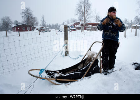 Lauri, ein Leitfaden für Schlittenhunde Exkursionen im riisitunturi Nationalpark erklärt, wie die Schlitten, Lappland, Finnland Stockfoto