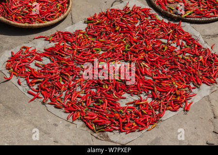 Rote Chilis trocknen in der Sonne an einem Street Food Markt in Kathmandu. Stockfoto