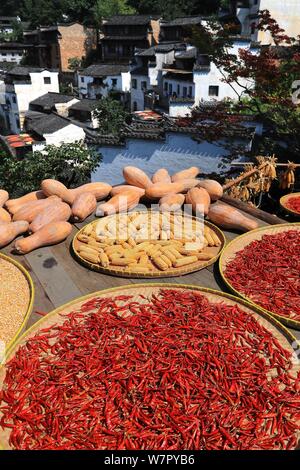 Jiangxi, Jiangxi, China. 7 Aug, 2019. Jiangxi, China - Am 7. August 2019, dem Beginn der Herbst begann, und die Ernten der Huangling altes Dorf in Wuyuan County, Provinz Jiangxi waren im Allgemeinen geerntet und das trockene Korn Jahreszeit angekommen. Die Dorfbewohner von huangling Ernten bunten Pflanzen, wie Paprika, Mais und Kürbis, und Sie auf dem Holz Wäscheständer vor und hinter Hui hang-Stil folk Häuser entlang der Berg, der strahlend in der Sonne werden gebaut, und die Szene ist ziemlich spektakulär. Credit: SIPA Asien/ZUMA Draht/Alamy leben Nachrichten Stockfoto