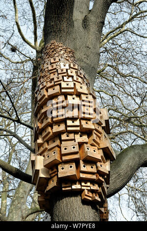 Über 250 Vogel- und Bug Boxen, eine skulpturale Installation aufgerufen Sponanteous Stadt, in einem Baum des Himmels (Ailanthus altissima) Duncan Terrace Gardens, London Borough in Islington, England, Großbritannien, Februar 2012 Stockfoto