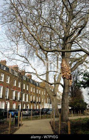 Über 250 Vogel- und Bug Boxen, eine skulpturale Installation aufgerufen Sponanteous Stadt, in einem Baum des Himmels (Ailanthus altissima) Duncan Terrace Gardens, London Borough in Islington, England, Großbritannien Stockfoto