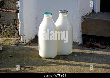 Zwei Glas voll Milch Flaschen stehend vor der Tür, Grün und Silber, Highbury, Londoner Stadtteil Islington, England Großbritannien Stockfoto