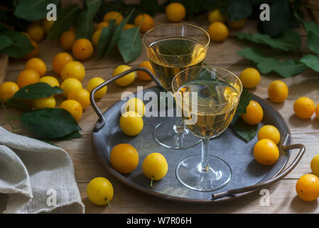 Cherry Plum Likör in kleinen Gläsern und Cherry Plum auf einer hölzernen Hintergrund. Im rustikalen Stil. Stockfoto