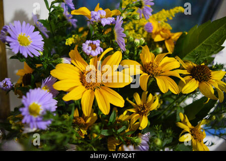 Blumenstrauß aus wunderschönen wilden ukrainischen Wildblumen mit einer Seele aus der Steppe der Ukraine. Stockfoto