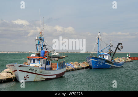 Angeln Boote auf der Insel Culatra Hafen. Parque Natural da Ria Formosa, in der Nähe von Olhao, Algarve, Portugal, Juni. Stockfoto