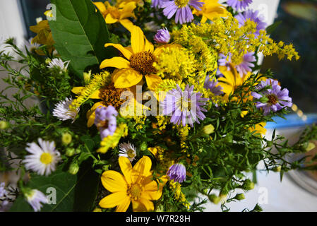 Blumenstrauß aus wunderschönen wilden ukrainischen Wildblumen mit einer Seele aus der Steppe der Ukraine. Stockfoto